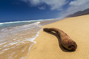 Wild Cofete beach in Fuerteventura