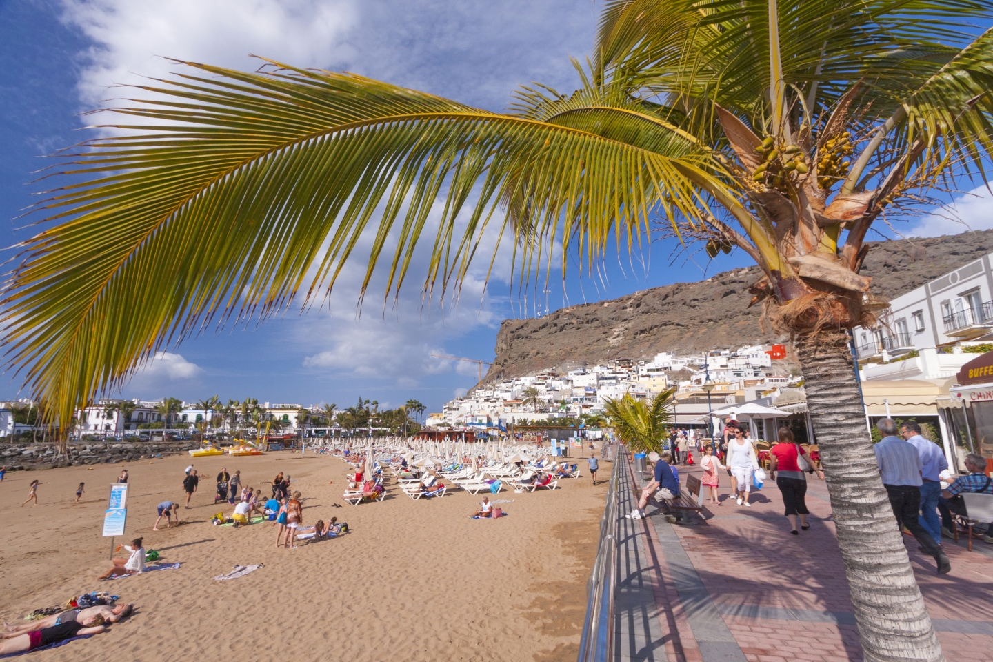 Puerto de Mogán beach and palm trees