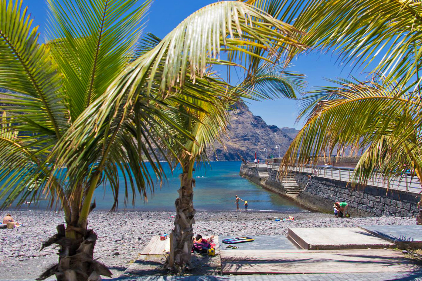 puerto de las nieves beach palms