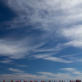 maspalomas_dunes_and_beach_-_febr_2011_-013