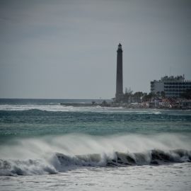 After the storms, febr 2011