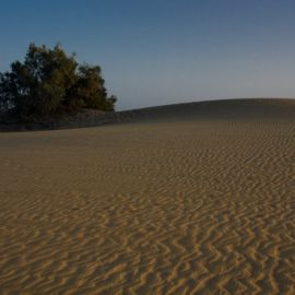 maspalomas_dunes_beach-300