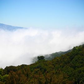 La Gomera