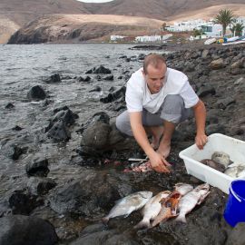 Lanzarote