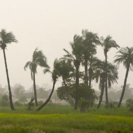 gambia-64