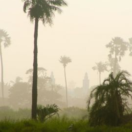 gambia-65