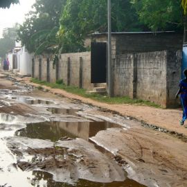 gambia-67