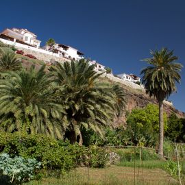 Puerto de las Nieves-001