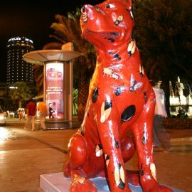 las-palmas-056