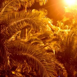 las-palmas-060