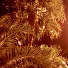 las-palmas-061