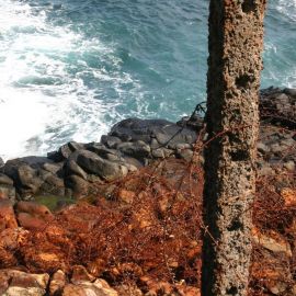 las-palmas-064