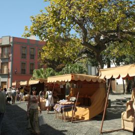las-palmas-077