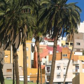 vegueta-024