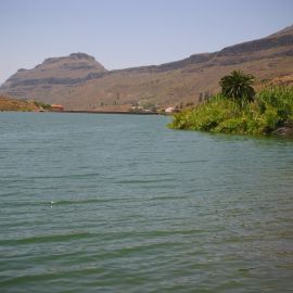 el-sao-ayagaures-092