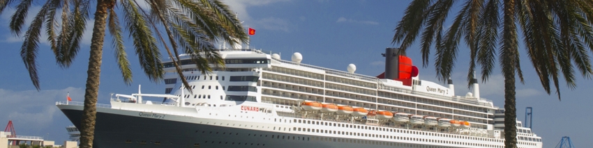 Cruise Ships