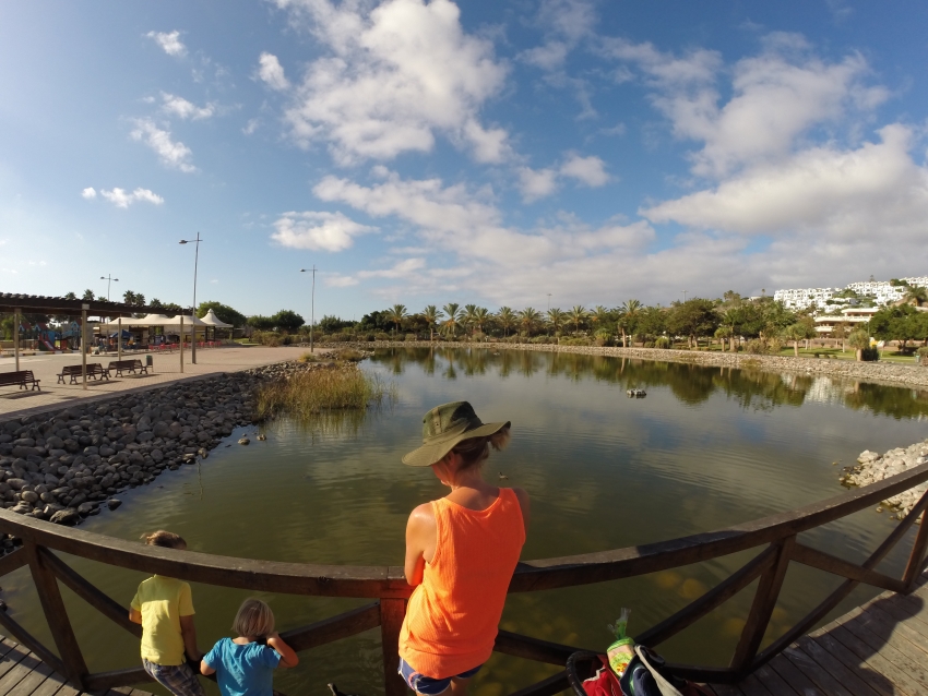 Parque del Sur in Maspalomas Campo Internacional