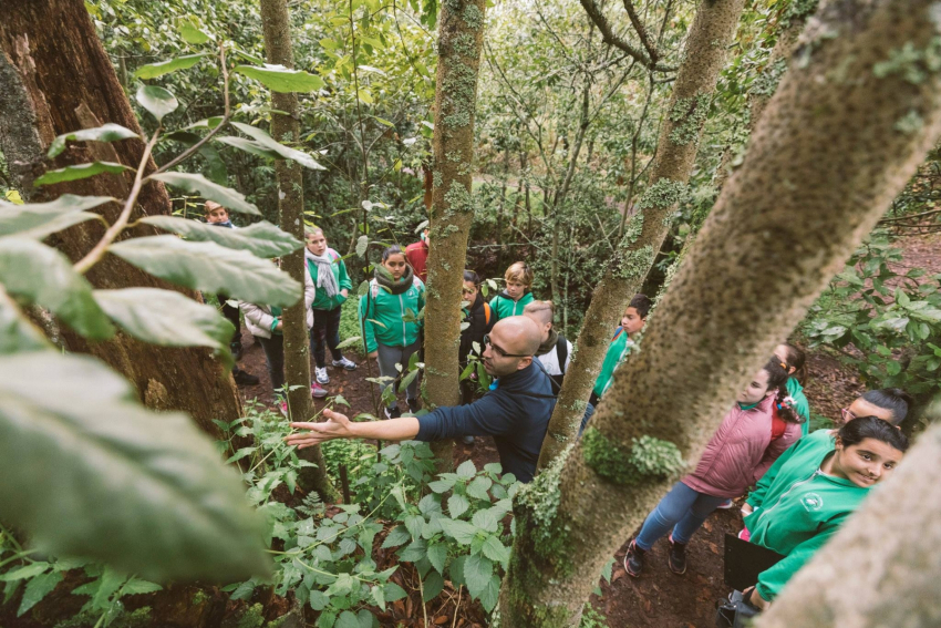 Let&#039;s Make Gran Canaria Green Again