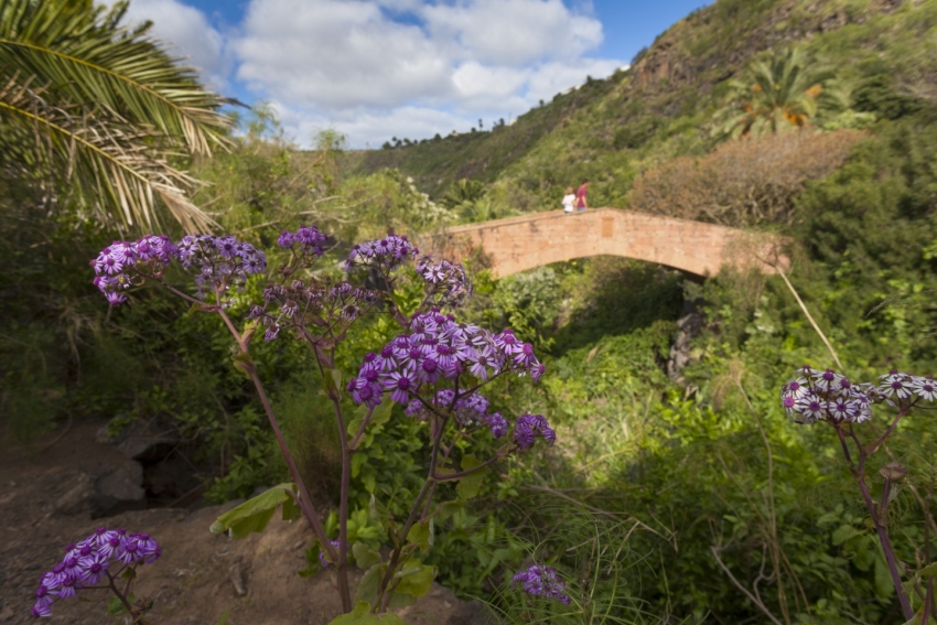 Red bridge at the Jardín Canario botanical garden