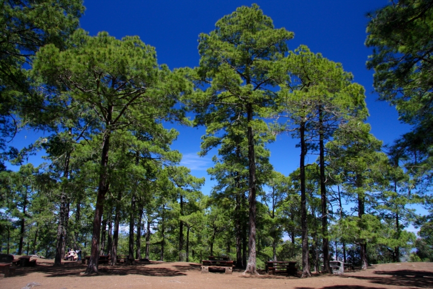 The campsite at Tamadaba in Gran Canaria