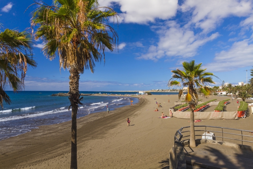 Palm trees everywhere you go in Gran Canaria