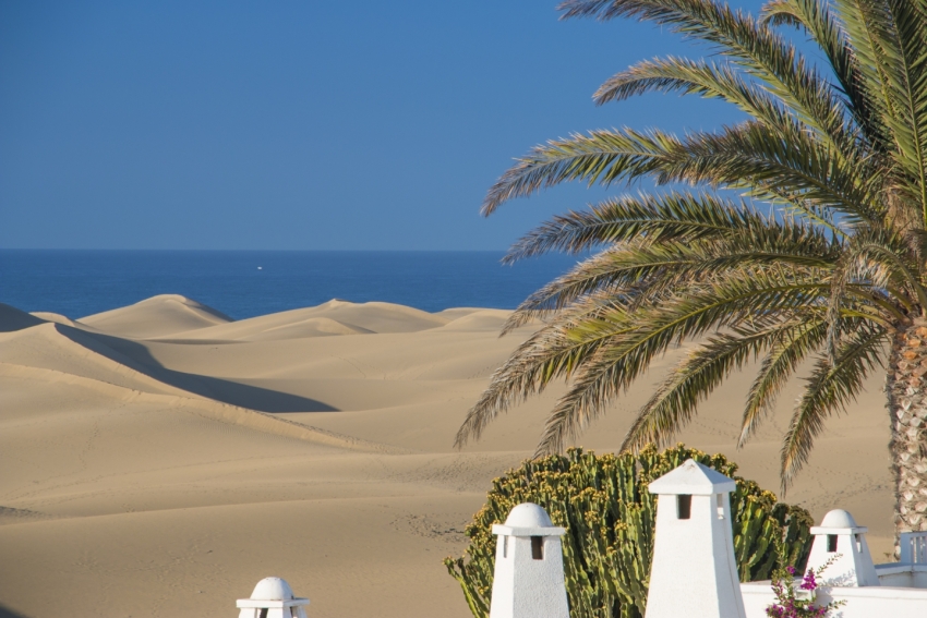 The Maspalomas dunes