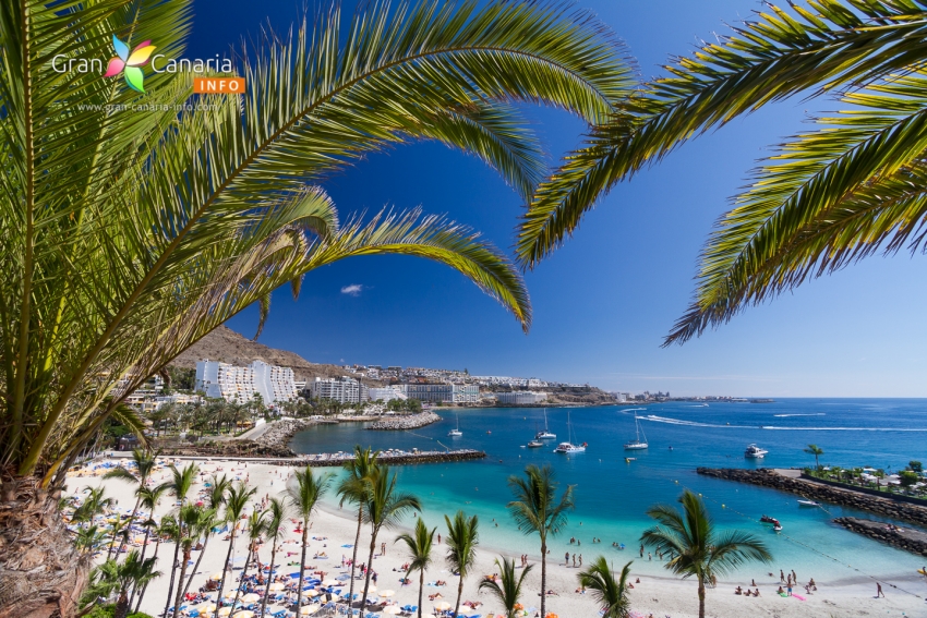 The beach of Anfi del Mar